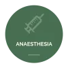 about anaesthesia